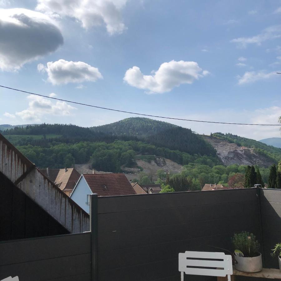 Appartement Vintage A L Ancienne Forge Muhlbach-sur-Munster エクステリア 写真