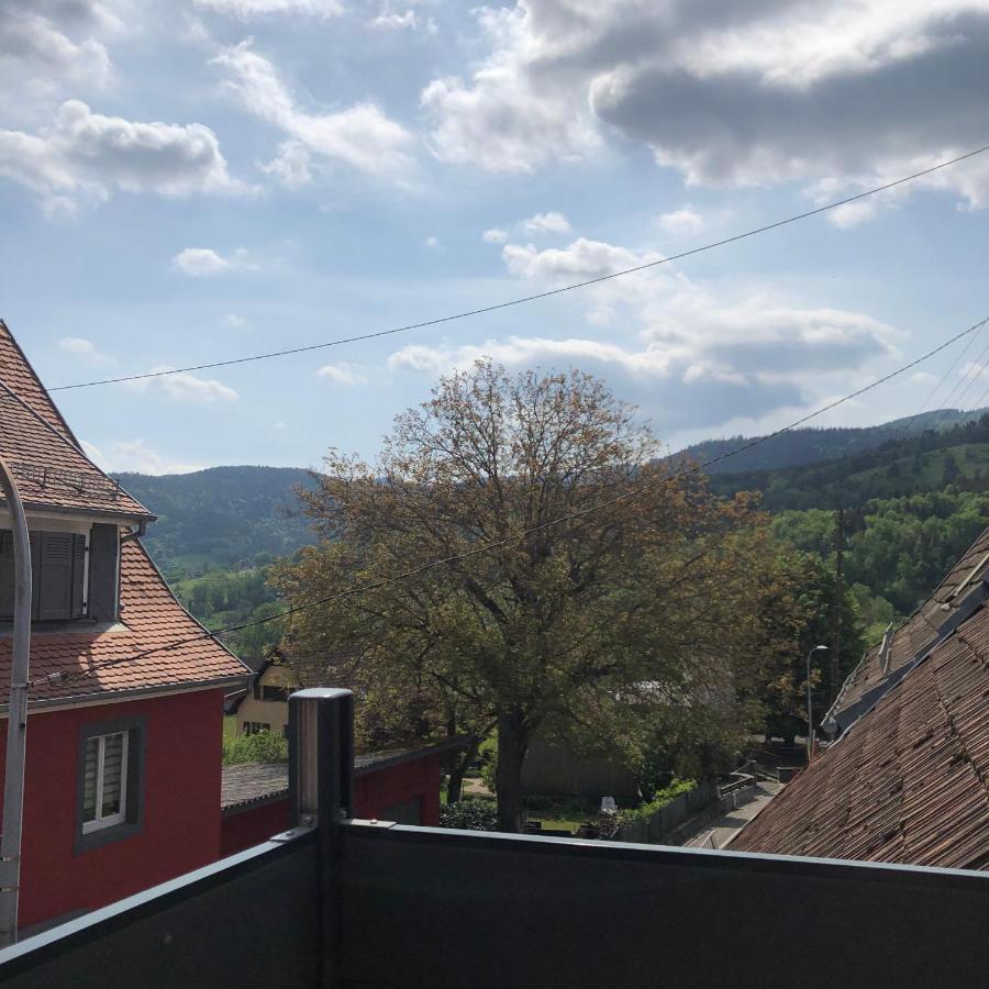 Appartement Vintage A L Ancienne Forge Muhlbach-sur-Munster エクステリア 写真